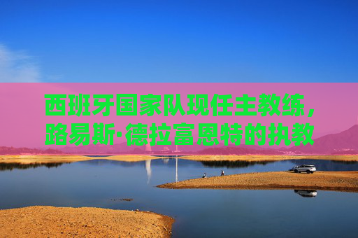 西班牙国家队现任主教练，路易斯·德拉富恩特的执教之路与球队革新