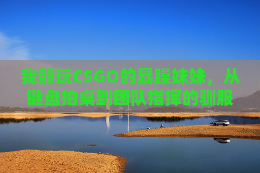 我那玩CSGO的暴躁妹妹，从键盘拍桌到团队指挥的驯服记