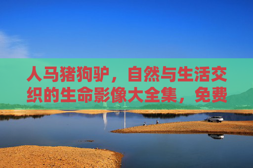 人马猪狗驴，自然与生活交织的生命影像大全集，免费探索动物世界的多元之美