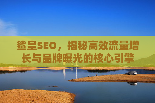 鲨皇SEO，揭秘高效流量增长与品牌曝光的核心引擎
