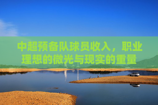 中超预备队球员收入，职业理想的微光与现实的重量