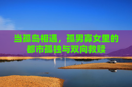 当孤岛相遇，孤男寡女里的都市孤独与双向救赎