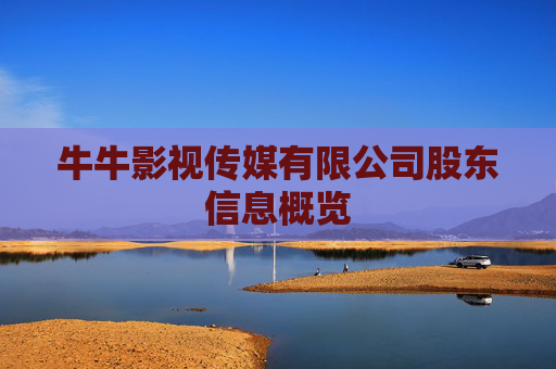 牛牛影视传媒有限公司股东信息概览