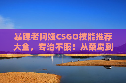 暴躁老阿姨CSGO技能推荐大全，专治不服！从菜鸟到战神的狠活儿都在这
