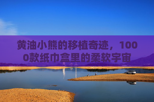 黄油小熊的移植奇迹，1000款纸巾盒里的柔软宇宙