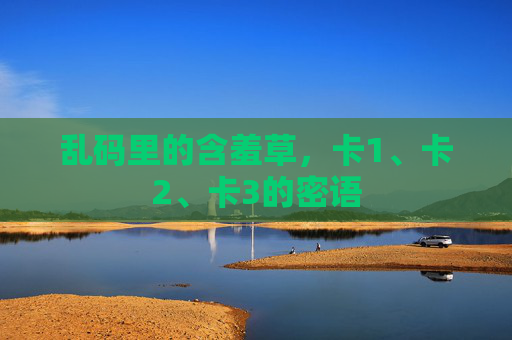 乱码里的含羞草，卡1、卡2、卡3的密语