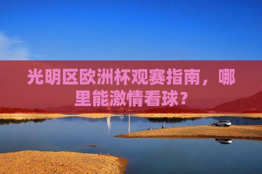 光明区欧洲杯观赛指南，哪里能激情看球？