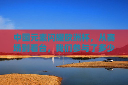中国元素闪耀欧洲杯，从赛场到看台，我们参与了多少？