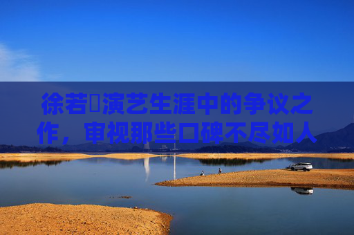 徐若瑄演艺生涯中的争议之作，审视那些口碑不尽如人意的电影尝试