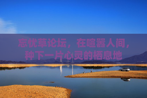 忘忧草论坛，在喧嚣人间，种下一片心灵的栖息地