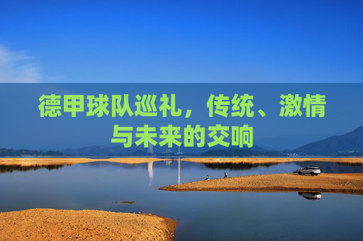 德甲球队巡礼，传统、激情与未来的交响