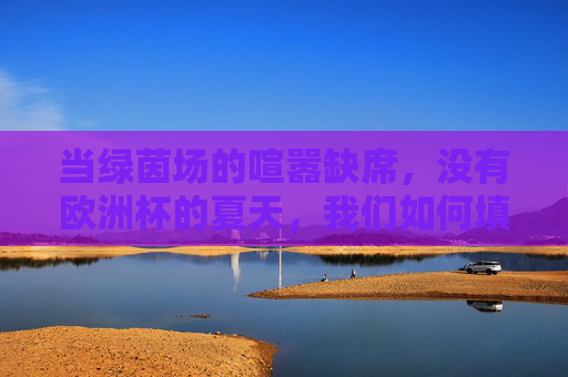 当绿茵场的喧嚣缺席，没有欧洲杯的夏天，我们如何填补激情的空白？