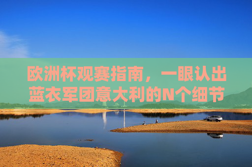 欧洲杯观赛指南，一眼认出蓝衣军团意大利的N个细节