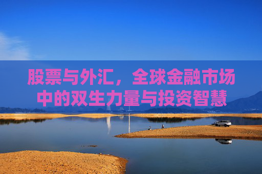 股票与外汇，全球金融市场中的双生力量与投资智慧