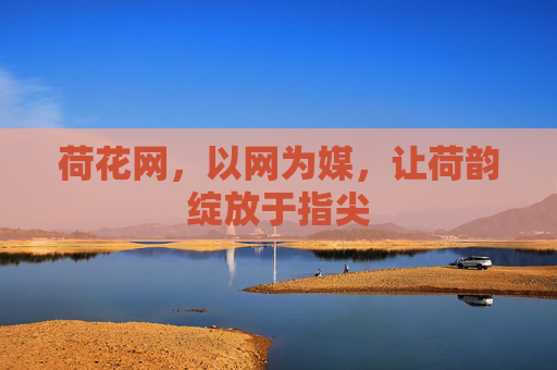 荷花网，以网为媒，让荷韵绽放于指尖