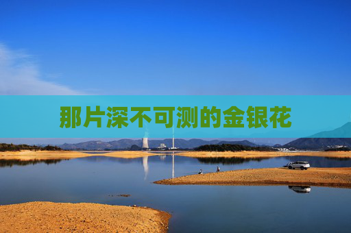 那片深不可测的金银花