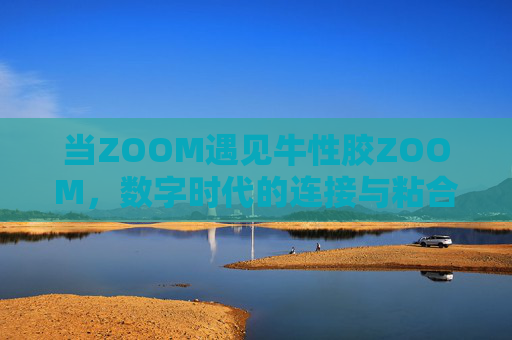 当ZOOM遇见牛性胶ZOOM，数字时代的连接与粘合