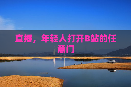 直播，年轻人打开B站的任意门