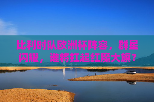 比利时队欧洲杯阵容，群星闪耀，谁将扛起红魔大旗？