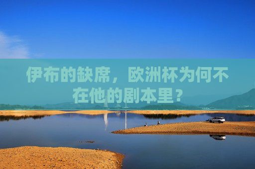 伊布的缺席，欧洲杯为何不在他的剧本里？