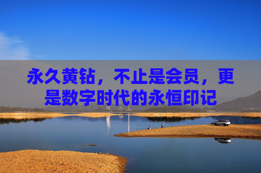 永久黄钻，不止是会员，更是数字时代的永恒印记