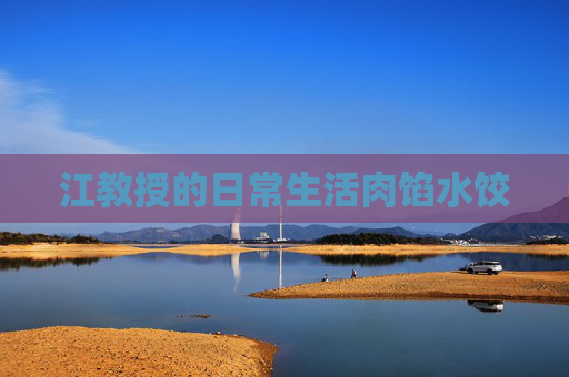 江教授的日常生活肉馅水饺