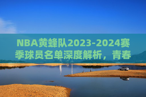 NBA黄蜂队2023-2024赛季球员名单深度解析,青春风暴重建时 NBA黄蜂队2023-2024赛季球员名单深度解析,青春风暴重建时