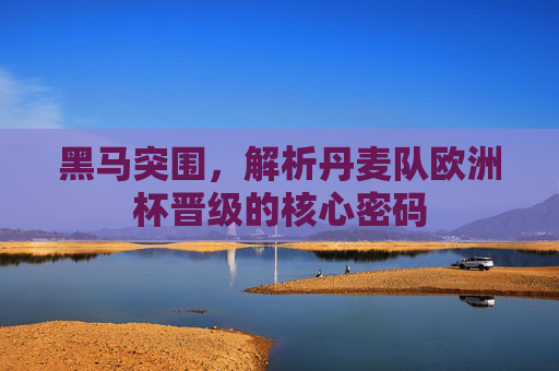 黑马突围,解析丹麦队欧洲杯晋级的核心密码 黑马突围,解析丹麦队欧洲杯晋级的核心密码