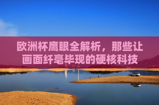 欧洲杯鹰眼全解析，那些让画面纤毫毕现的硬核科技