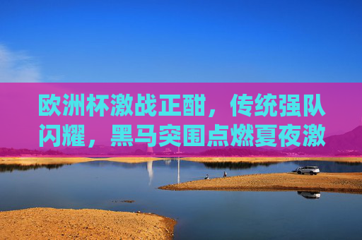 欧洲杯激战正酣，传统强队闪耀，黑马突围点燃夏夜激情
