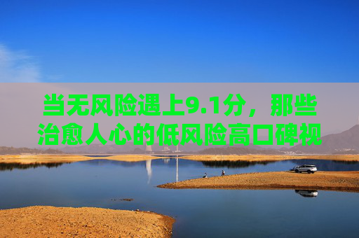 当无风险遇上9.1分，那些治愈人心的低风险高口碑视频