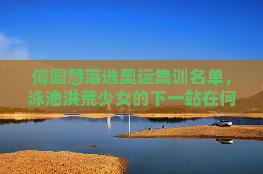 傅园慧落选奥运集训名单，泳池洪荒少女的下一站在何方？