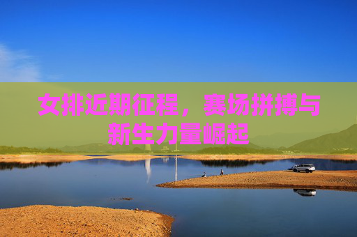 女排近期征程，赛场拼搏与新生力量崛起