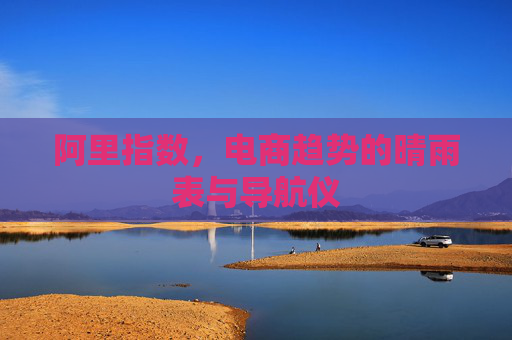 阿里指数，电商趋势的晴雨表与导航仪