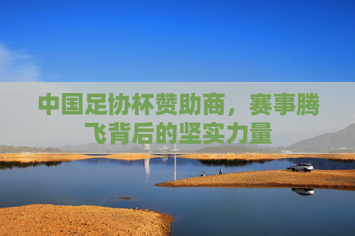 中国足协杯赞助商，赛事腾飞背后的坚实力量