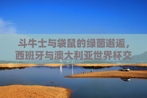 斗牛士与袋鼠的绿茵邂逅,西班牙与澳大利亚世界杯交锋史 斗牛士与袋鼠的绿茵邂逅,西班牙与澳大利亚世界杯交锋史
