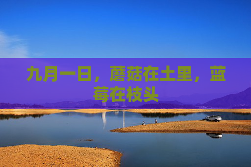九月一日，蘑菇在土里，蓝莓在枝头