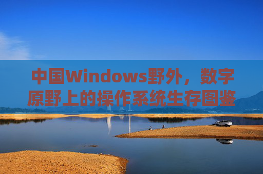 中国Windows野外,数字原野上的操作系统生存图鉴 中国Windows野外,数字原野上的操作系统生存图鉴