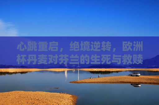 心跳重启,绝境逆转,欧洲杯丹麦对芬兰的生死与救赎 心跳重启,绝境逆转,欧洲杯丹麦对芬兰的生死与救赎