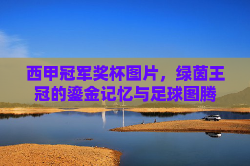 西甲冠军奖杯图片，绿茵王冠的鎏金记忆与足球图腾
