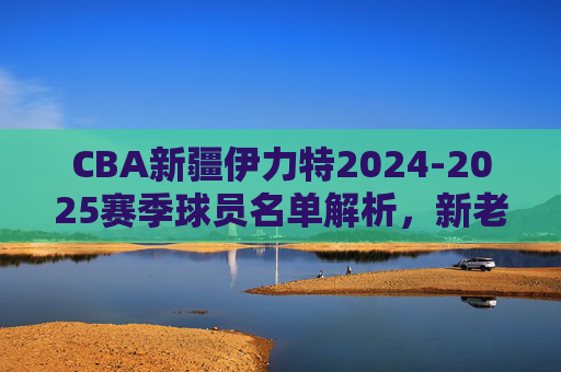 CBA新疆伊力特2024-2025赛季球员名单解析,新老交织,剑指季后赛突破 CBA新疆伊力特2024-2025赛季球员名单解析,新老交织,剑指季后赛突破