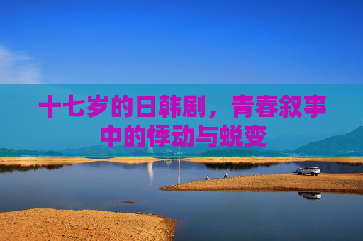 十七岁的日韩剧,青春叙事中的悸动与蜕变 十七岁的日韩剧,青春叙事中的悸动与蜕变