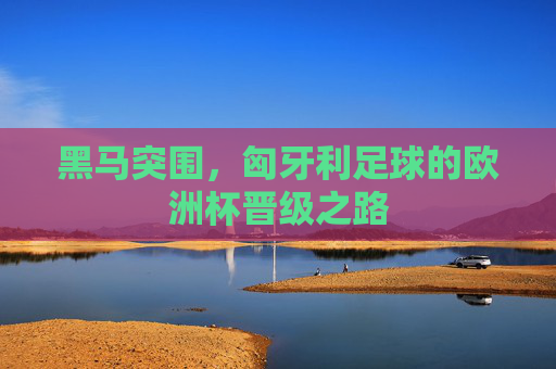 黑马突围,匈牙利足球的欧洲杯晋级之路 黑马突围,匈牙利足球的欧洲杯晋级之路