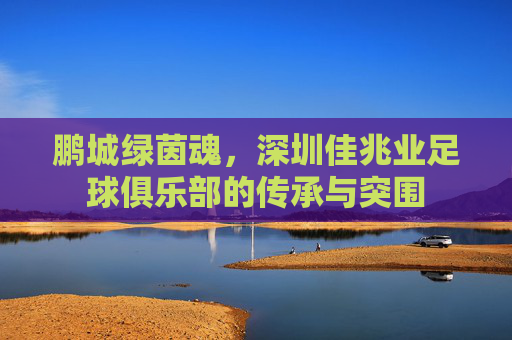 鹏城绿茵魂，深圳佳兆业足球俱乐部的传承与突围
