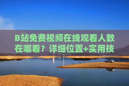 B站免费视频在线观看人数在哪看？详细位置+实用技巧