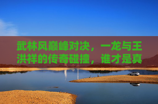 武林风巅峰对决，一龙与王洪祥的传奇碰撞，谁才是真正的武林标杆？