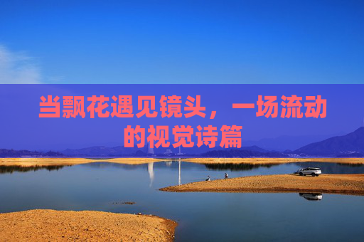 当飘花遇见镜头，一场流动的视觉诗篇