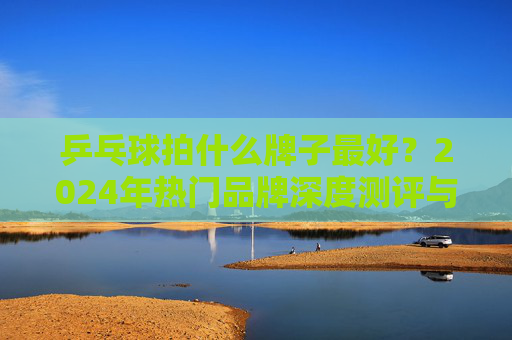 乒乓球拍什么牌子最好？2024年热门品牌深度测评与选购指南