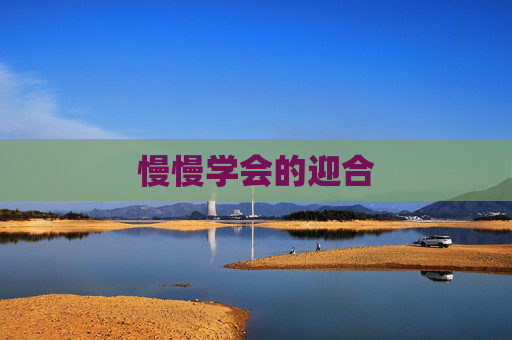 慢慢学会的迎合 慢慢学会的迎合