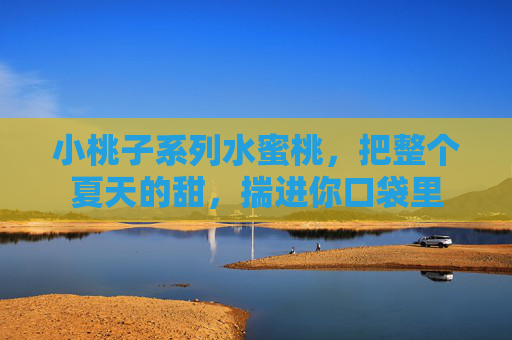 小桃子系列水蜜桃，把整个夏天的甜，揣进你口袋里
